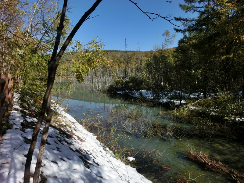 e0190698_11292580.jpg