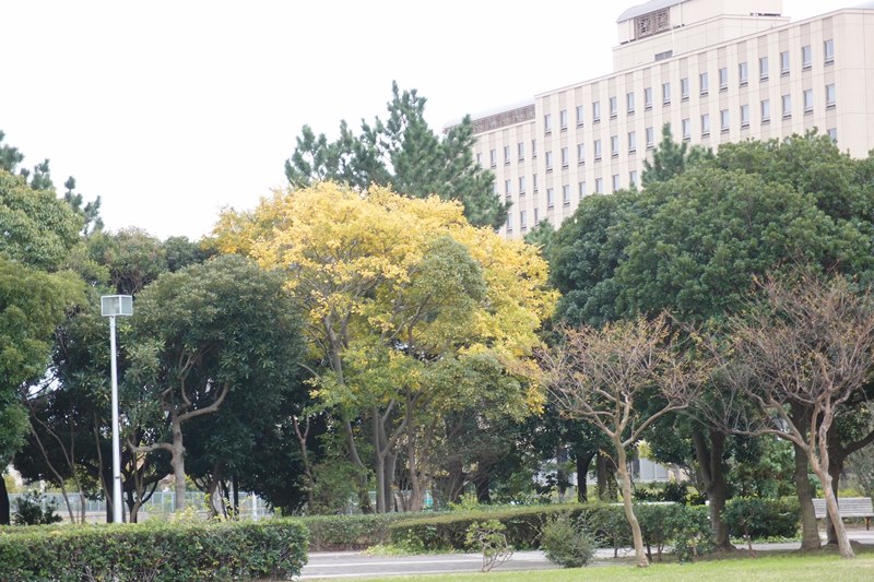 e0018604_166764.jpg
