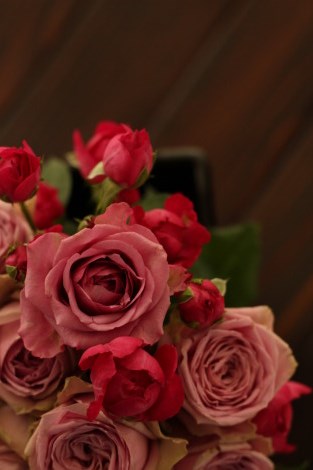 a0153206_21532055.jpg