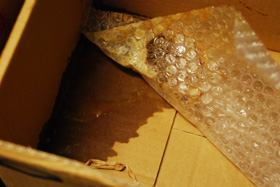 f0000211_2020467.jpg