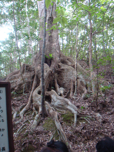 a0019212_12534398.jpg