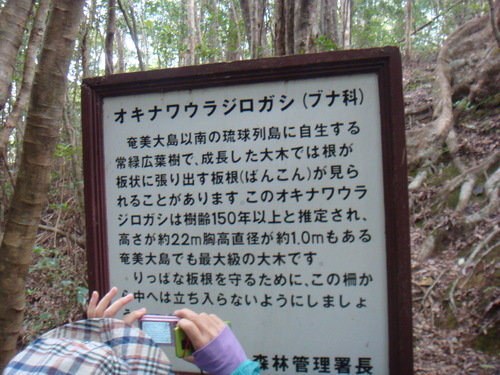 a0019212_1291559.jpg