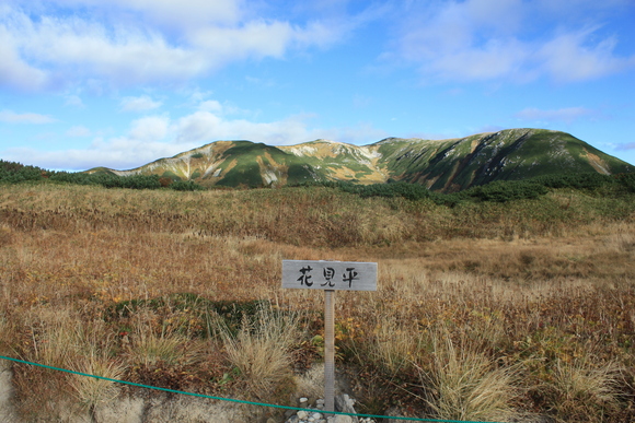 b0093515_8303858.jpg