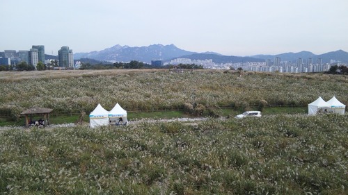 d0010720_1693388.jpg
