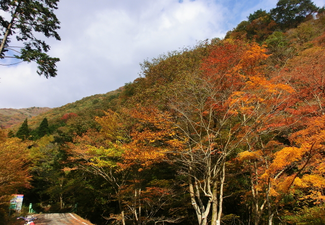 f0248120_1953409.jpg
