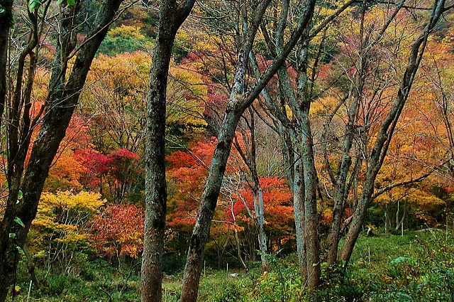 f0248120_1955643.jpg