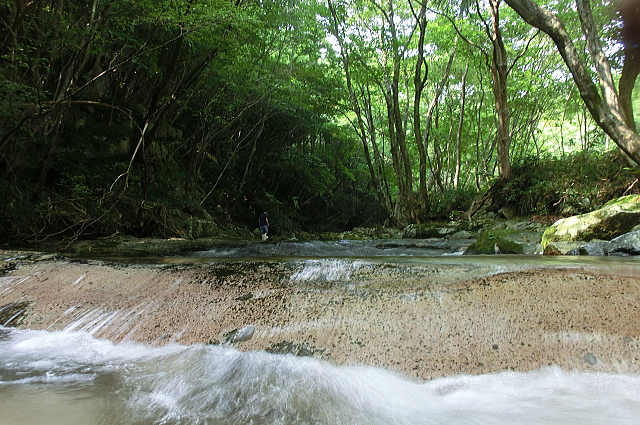 f0248120_20155986.jpg