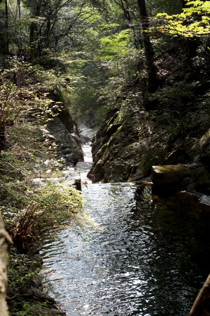 a0304423_094180.jpg