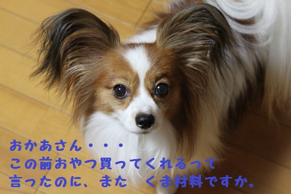 a0308425_8184958.jpg