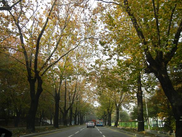 b0129725_14103870.jpg