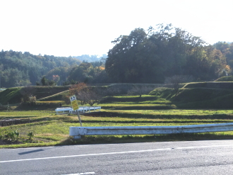 b0115330_1535316.jpg