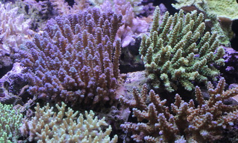 d0221436_20364541.jpg