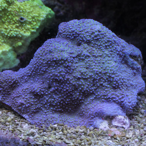 d0221436_20451436.jpg