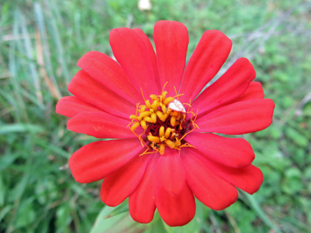 f0234936_22141778.jpg