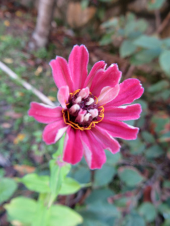 f0234936_22153429.jpg
