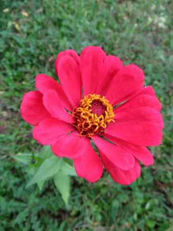 f0234936_22161123.jpg