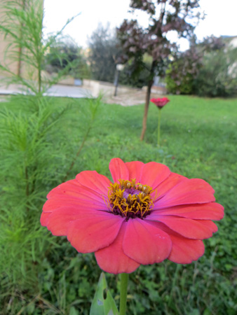 f0234936_22165052.jpg