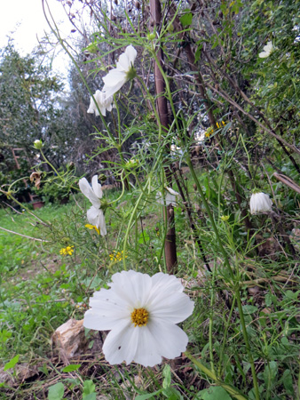 f0234936_22174288.jpg