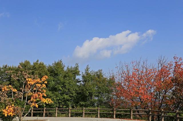 a0242438_1854610.jpg