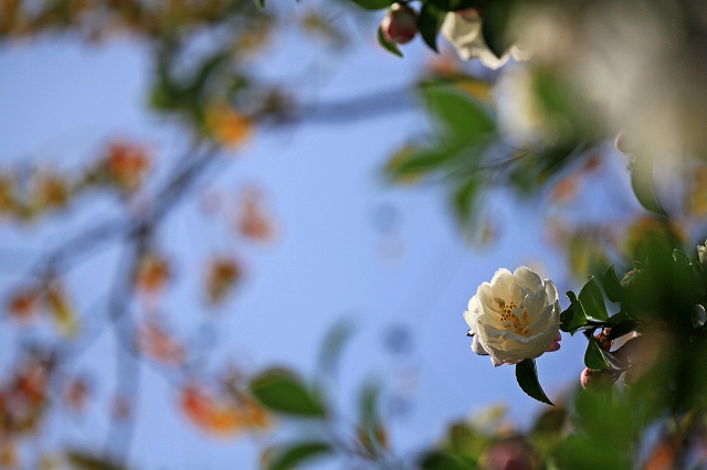 a0242438_18565029.jpg