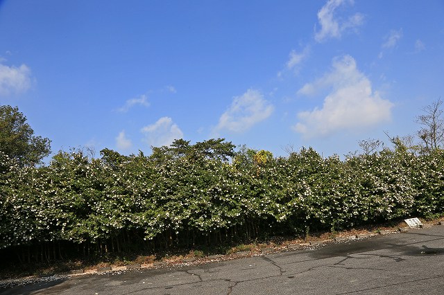 a0242438_185687.jpg