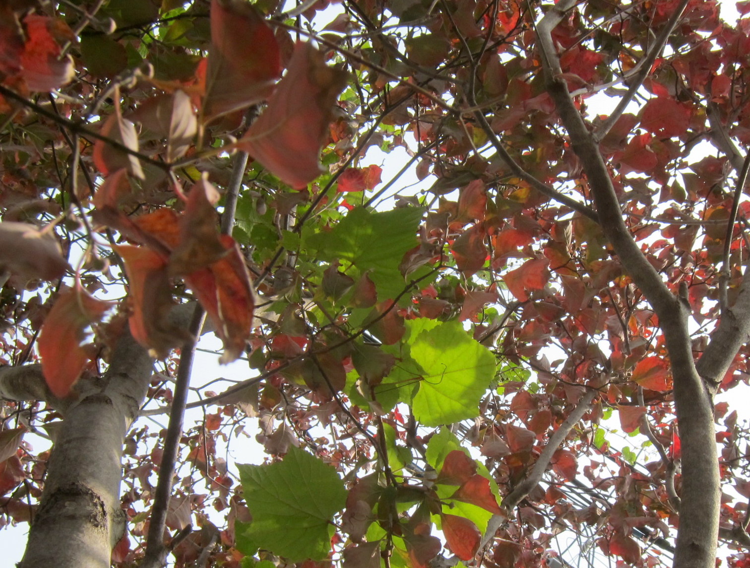 b0178339_1937041.jpg