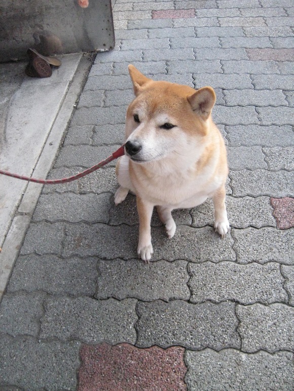 f0247039_10575735.jpg