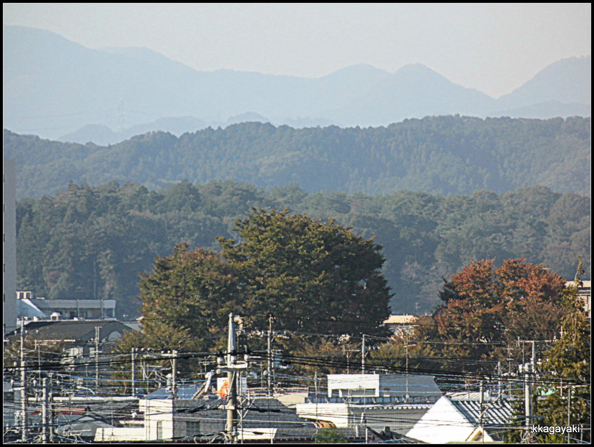 e0206242_735962.jpg