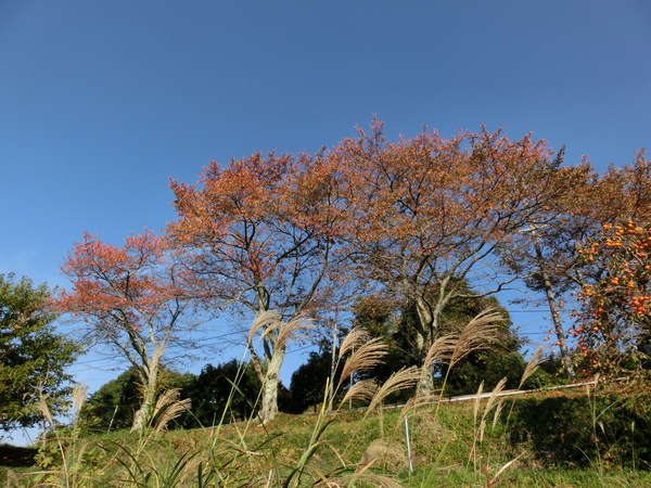 b0132746_0291759.jpg