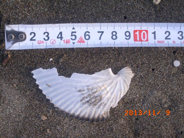 a0157451_21221316.jpg