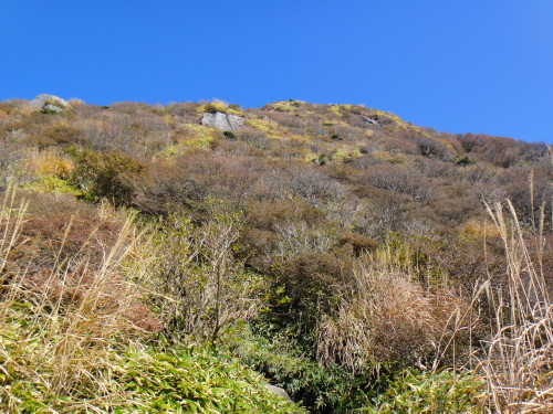 c0179351_11211613.jpg