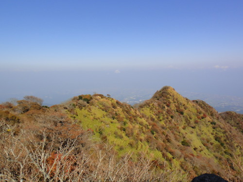 c0179351_1123569.jpg