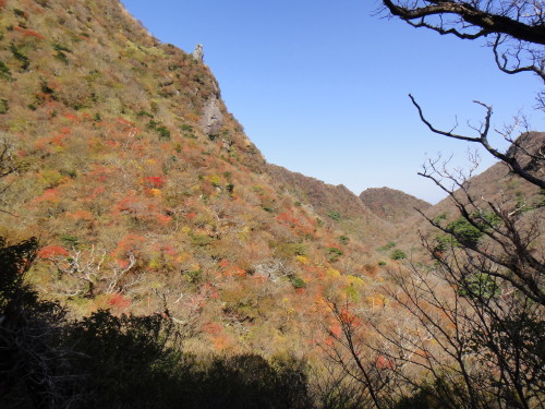 c0179351_11245390.jpg