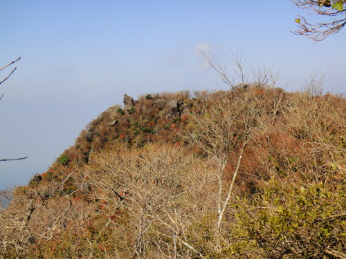c0179351_1125287.jpg