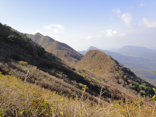 c0179351_11255478.jpg