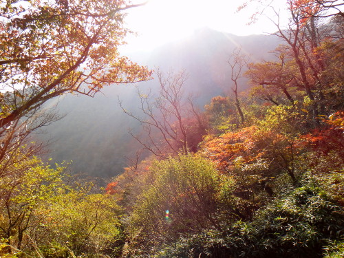 c0179351_11271268.jpg