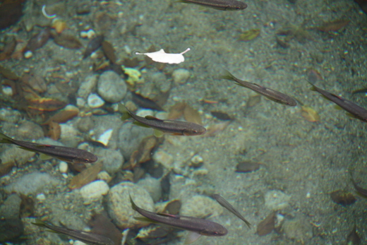 f0233356_21581049.jpg
