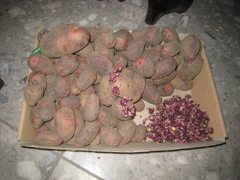 e0121558_2221740.jpg