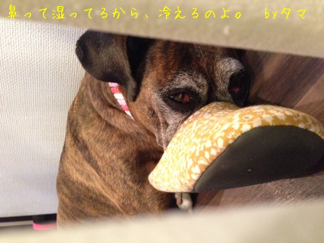 f0177261_12201094.jpg