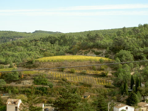e0205478_038080.jpg