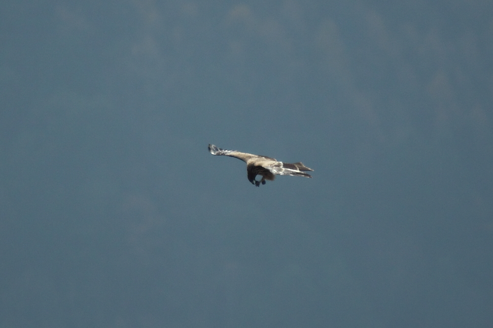 e0249878_21481078.jpg