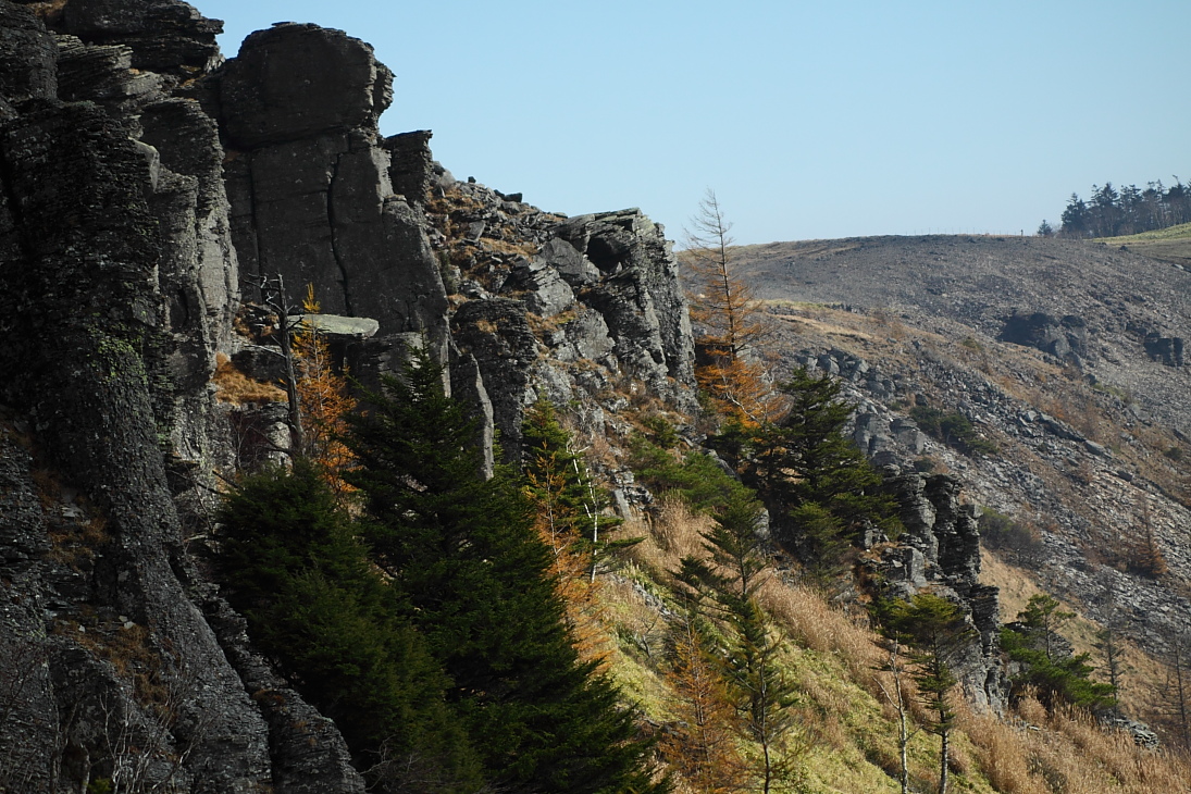 e0249878_21582023.jpg