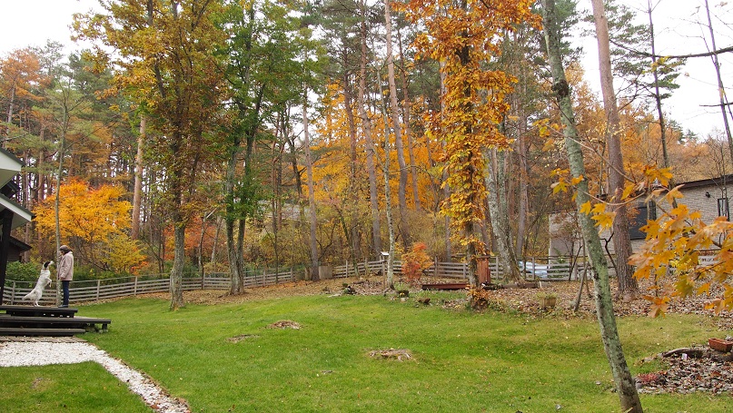 f0045283_23121457.jpg
