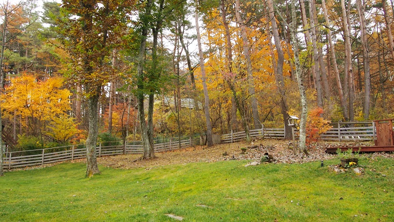 f0045283_2391028.jpg