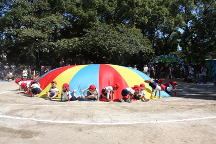 e0123286_1710991.jpg