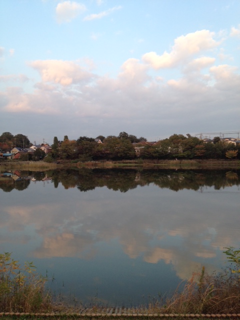 b0078288_1813412.jpg