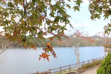 d0146888_199969.jpg