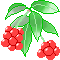 f0229190_215174.gif