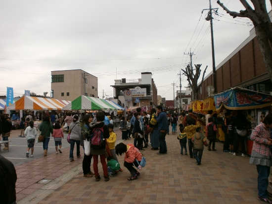 d0000995_20183797.jpg