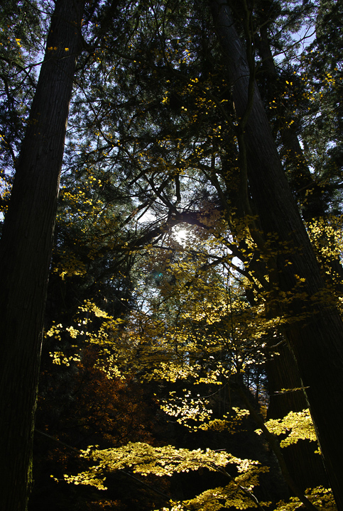 b0286898_20145292.jpg